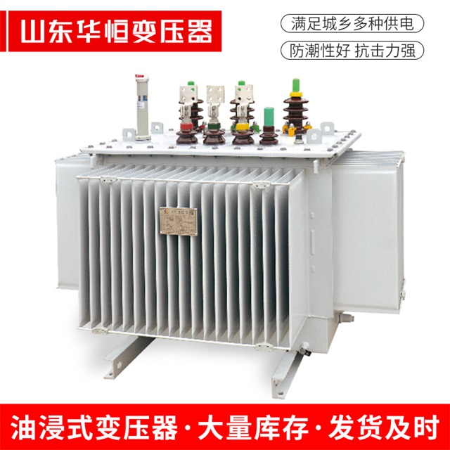 S13-10000/35海东海东海东电力变压器